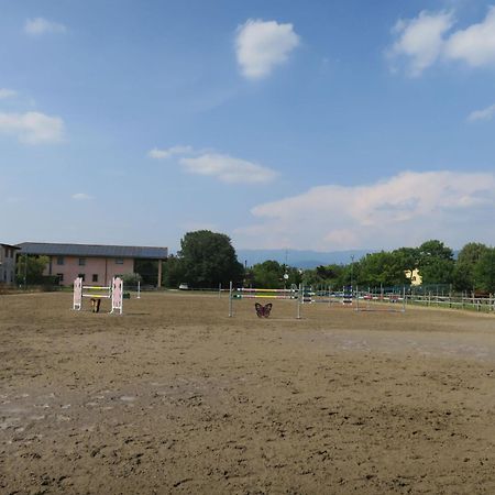 Holiday Home Domus Magna-3 By Interhome Povoletto المظهر الخارجي الصورة